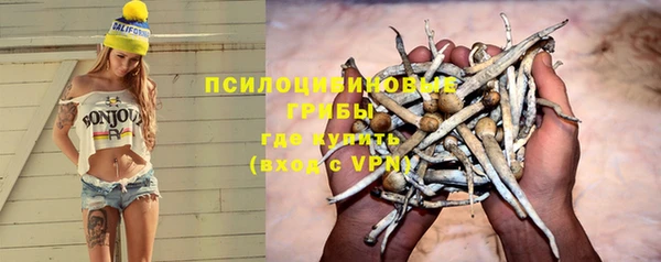 бутират Гусев
