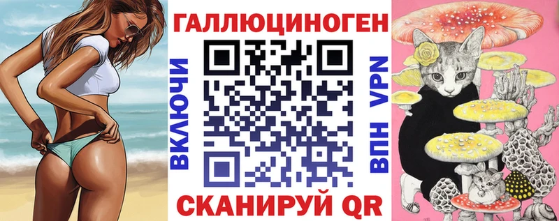 Псилоцибиновые грибы GOLDEN TEACHER  Купить закладки  Гвардейск 